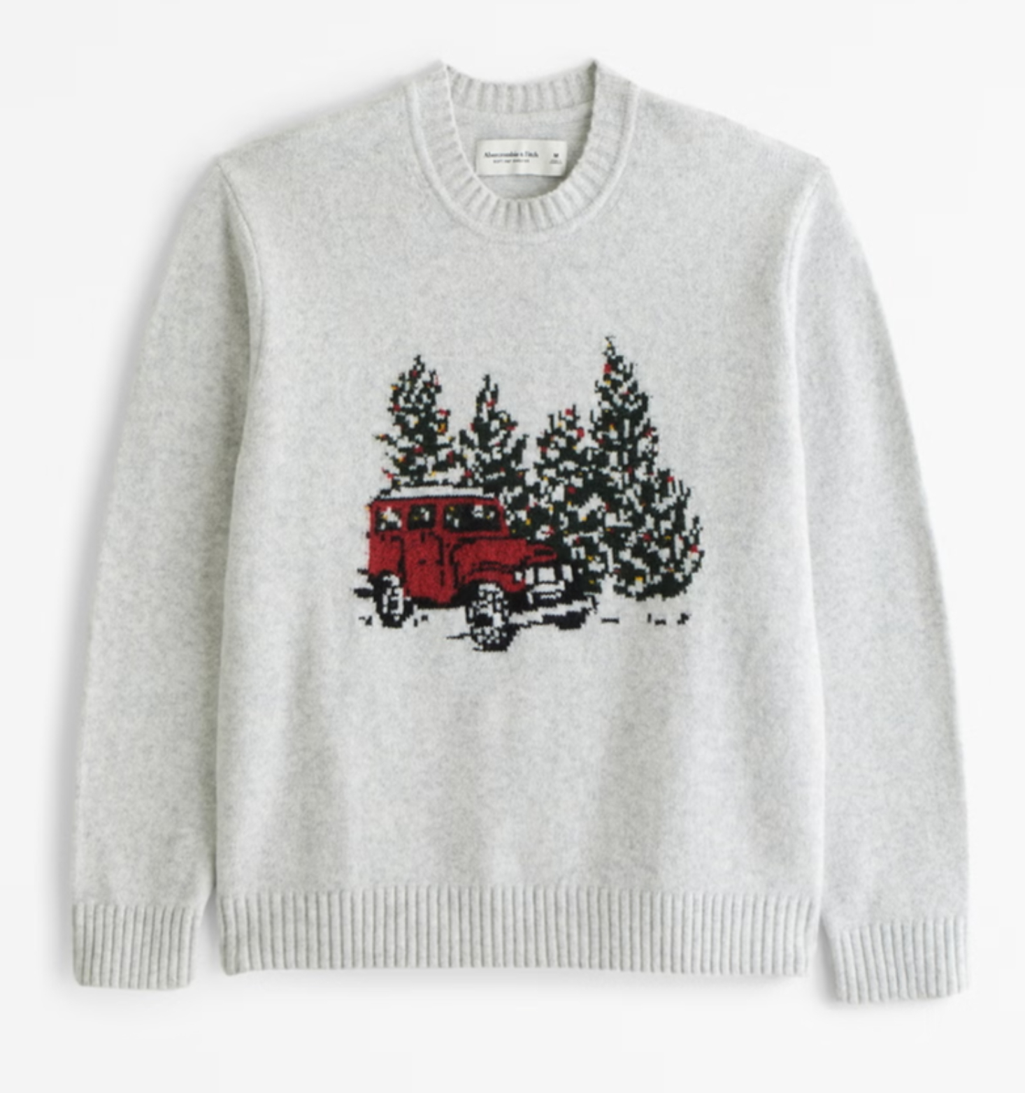 Holiday Graphic Crew Sweater