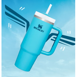 Discover the Best Deals on Stanley Products
