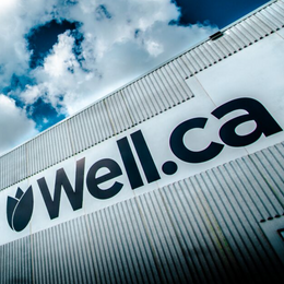 Discover Exclusive Savings at Well.ca with Well.ca Promo Code