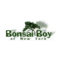 10% Discount when you purchase 3 or more trees at Bonsai Boy