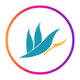 Karibea Hotels and Residences in Martinique: Discover Martinique in a different way