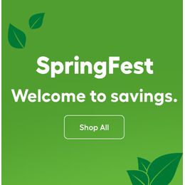 Lowe’s SpringFest: Two Must-Have Deals for Your Spring Home Projects 🌿🏡
