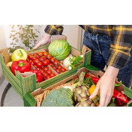 🥕 Misfits Market: Affordable Groceries with a Purpose