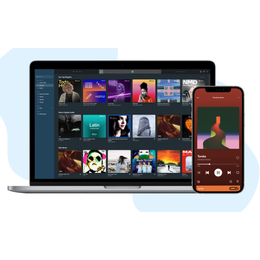 DistroKid: A Simple Way to Share Your Music with the World 🎧🎶